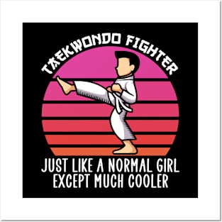 taekwondo fighter except much cooler Posters and Art